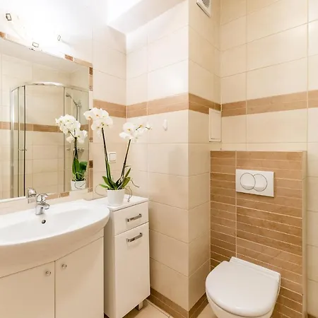 公寓 Kasprowicza Grey *