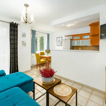 Apartman Kasprowicza Grey *