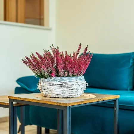 Kasprowicza Grey Apartment *