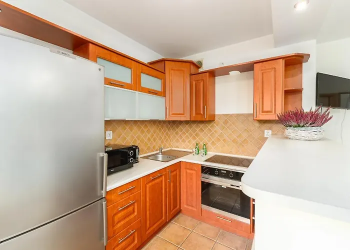 Kasprowicza Grey 코워브제크