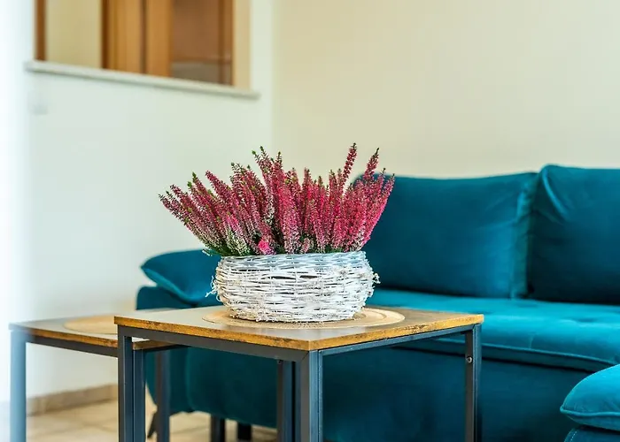 Kasprowicza Grey Διαμέρισμα *